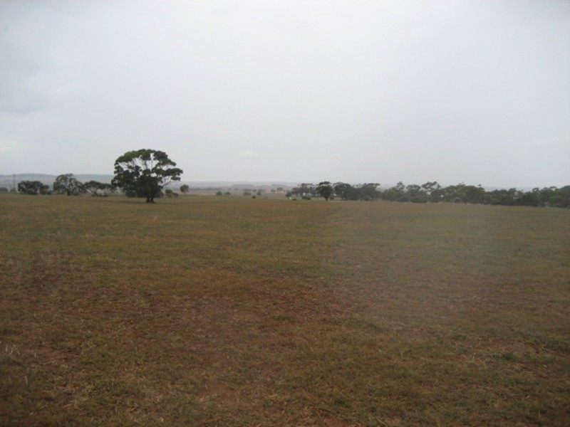 Section 375 Stockroute Road, Point Pass SA 5374