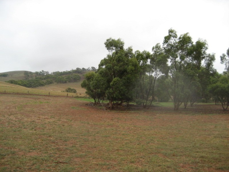 Section 375 Stockroute Road, Point Pass SA 5374