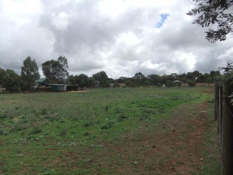 7 Day Street, Kapunda SA 5373