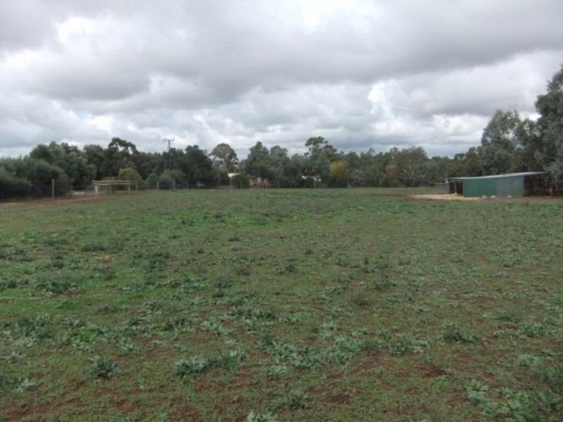 7 Day Street, Kapunda SA 5373