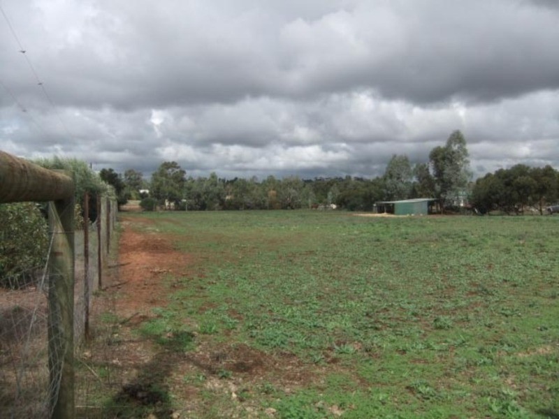 7 Day Street, Kapunda SA 5373