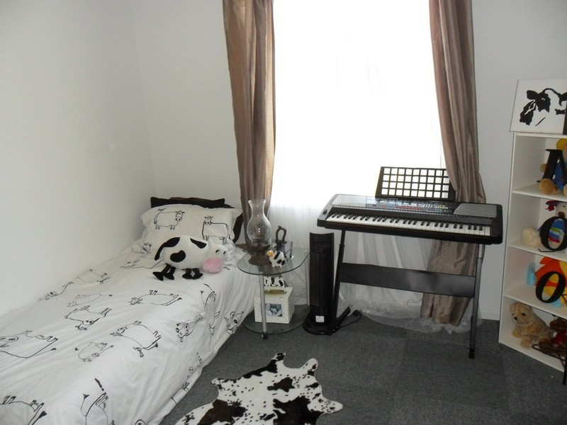 17 Nash Street, Kapunda SA 5373