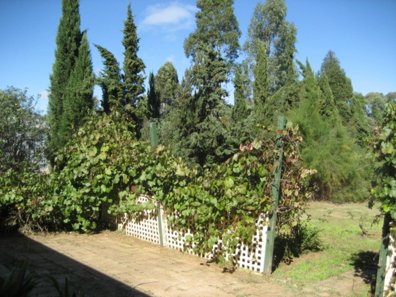 Lot 11 Gilbert Street, Tarlee SA 5411