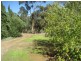 Lot 11 Gilbert Street, Tarlee SA 5411