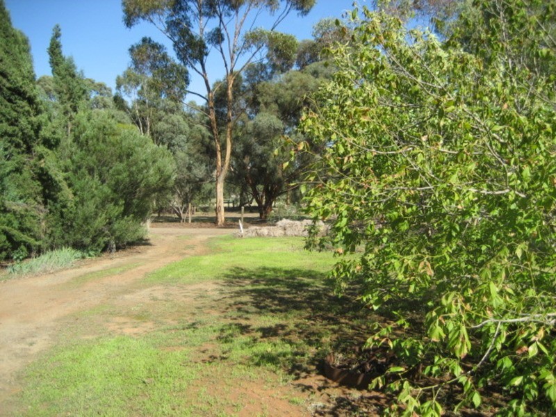 Lot 11 Gilbert Street, Tarlee SA 5411
