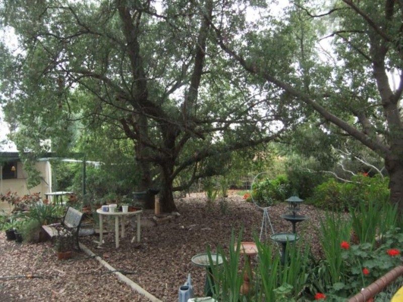 65 Clare Road, Kapunda SA 5373