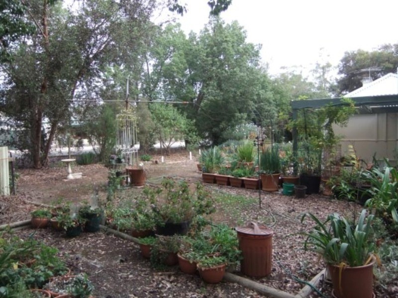 65 Clare Road, Kapunda SA 5373