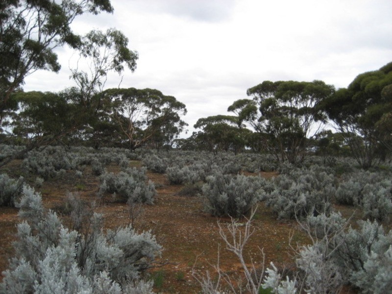 Lot 101 Public Road, Mount Mary SA 5374