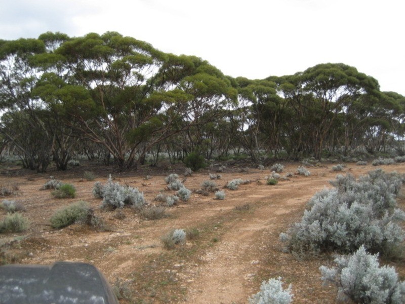 Lot 101 Public Road, Mount Mary SA 5374