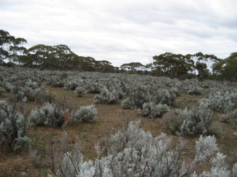 Lot 101 Public Road, Mount Mary SA 5374