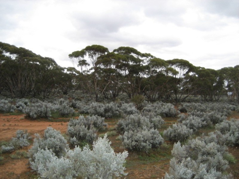 Lot 101 Public Road, Mount Mary SA 5374