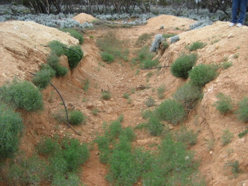 Lot 101 Public Road, Mount Mary SA 5374