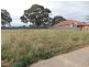 Lot 20 Laucke Drive, Stockwell SA 5355