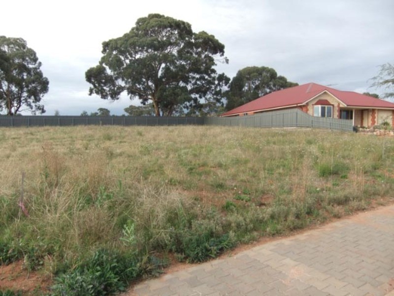 Lot 20 Laucke Drive, Stockwell SA 5355