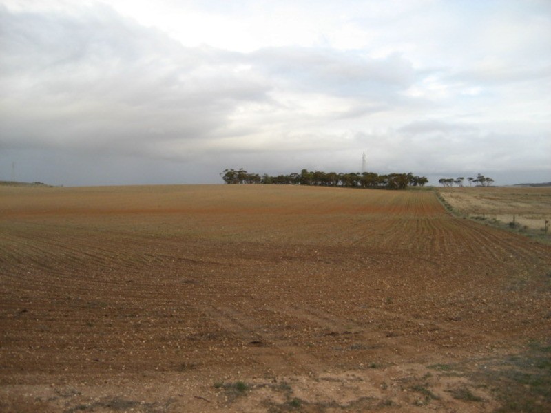 Lot 103 Geranium Plains Road, Robertstown SA 5381
