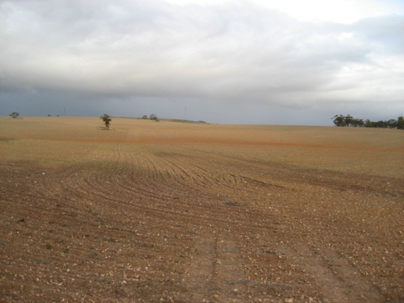 Lot 103 Geranium Plains Road, Robertstown SA 5381