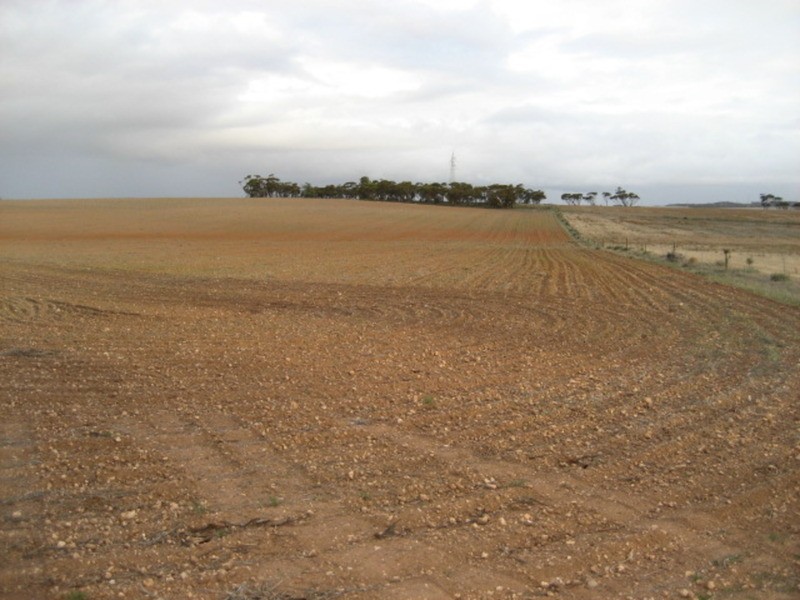 Lot 103 Geranium Plains Road, Robertstown SA 5381