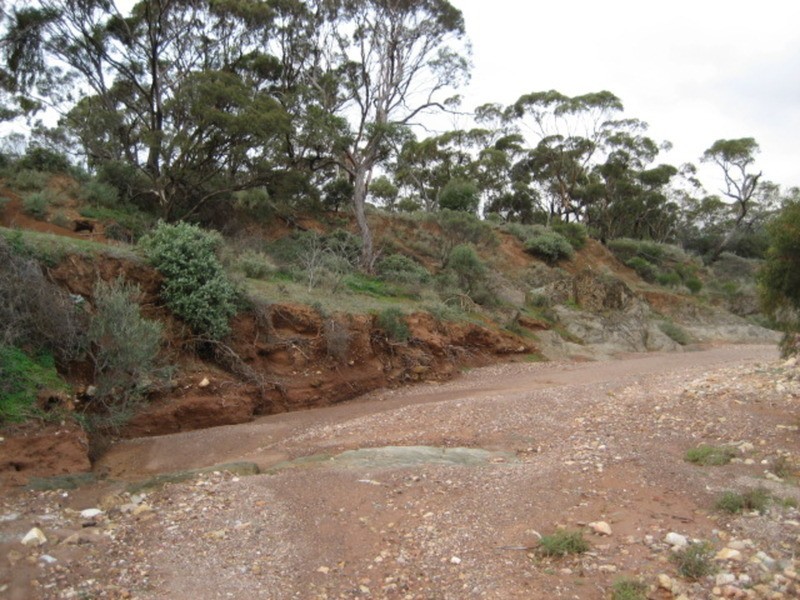 Lot 103 Geranium Plains Road, Robertstown SA 5381