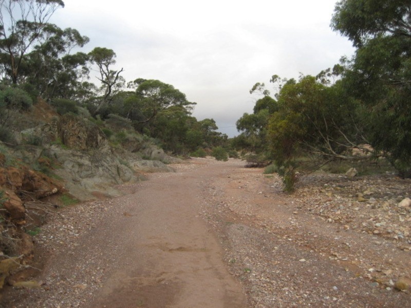 Lot 103 Geranium Plains Road, Robertstown SA 5381