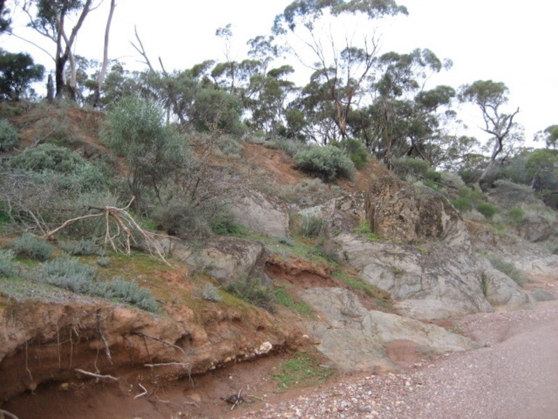 Lot 103 Geranium Plains Road, Robertstown SA 5381