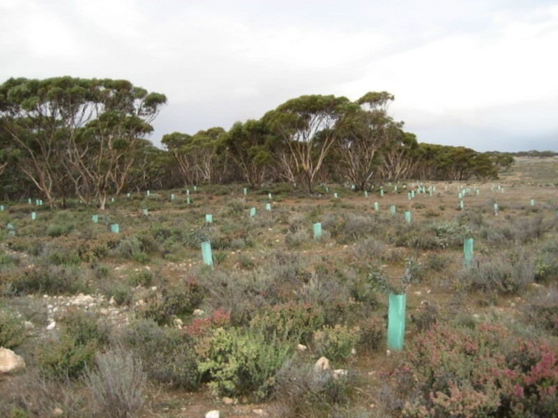 Lot 103 Geranium Plains Road, Robertstown SA 5381