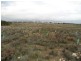 Lot 103 Geranium Plains Road, Robertstown SA 5381