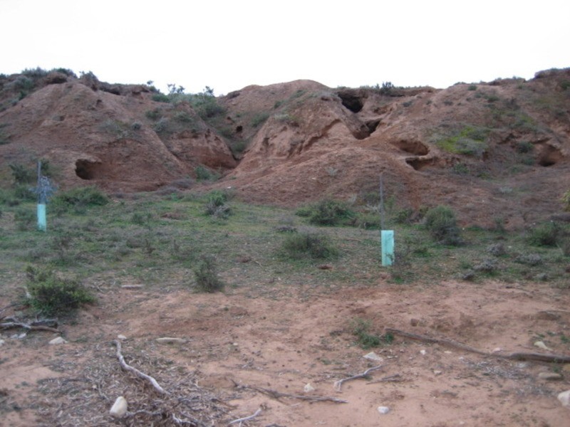 Lot 103 Geranium Plains Road, Robertstown SA 5381