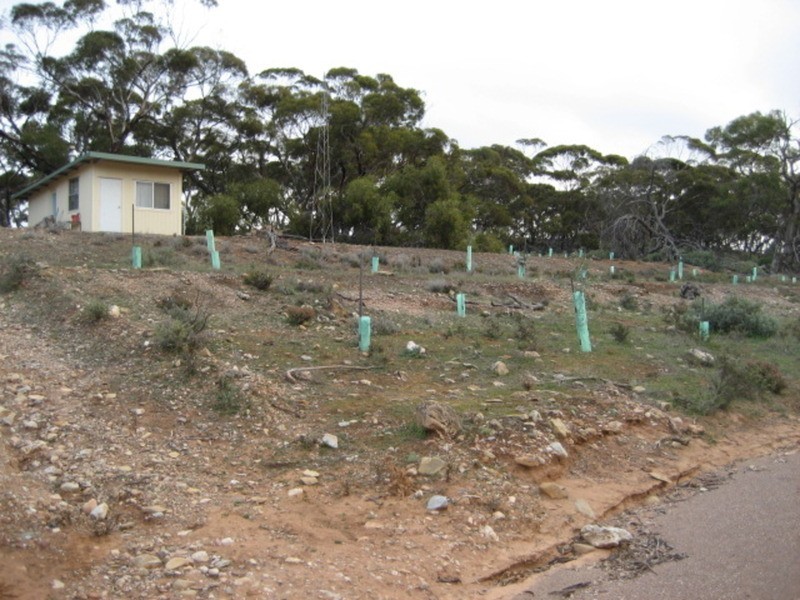 Lot 103 Geranium Plains Road, Robertstown SA 5381