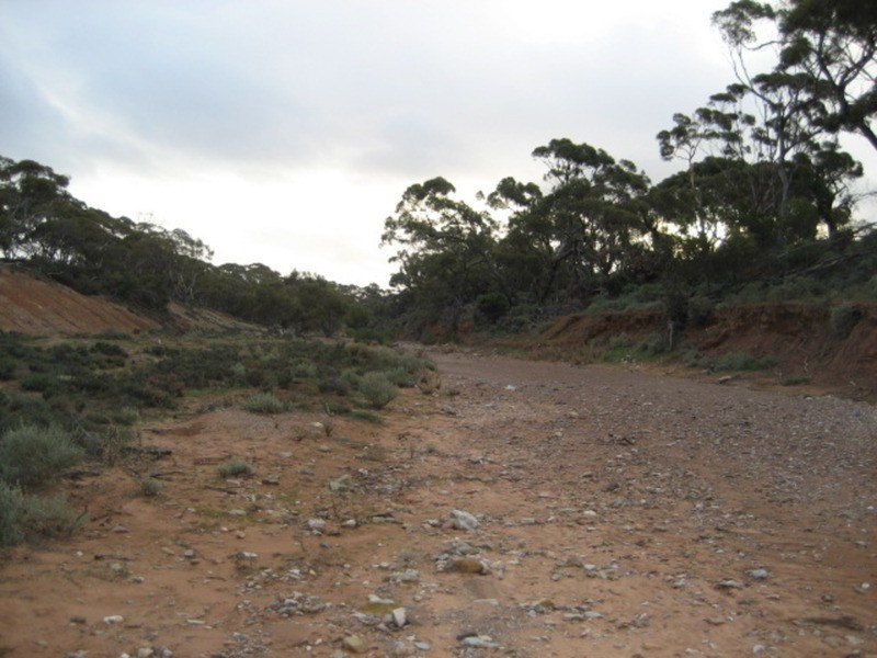 Lot 103 Geranium Plains Road, Robertstown SA 5381