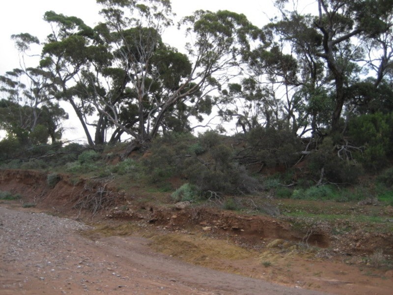 Lot 103 Geranium Plains Road, Robertstown SA 5381