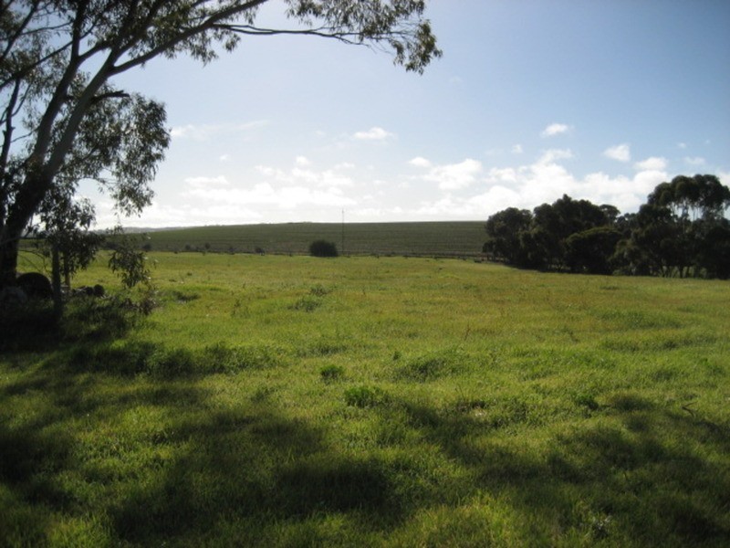 44 Nash Street, Kapunda SA 5373