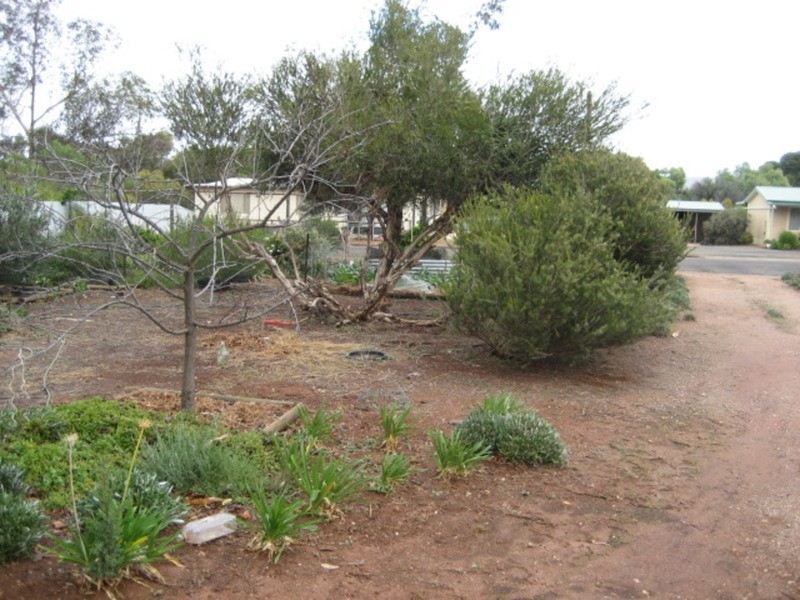 5 Railway Parade, Robertstown SA 5381