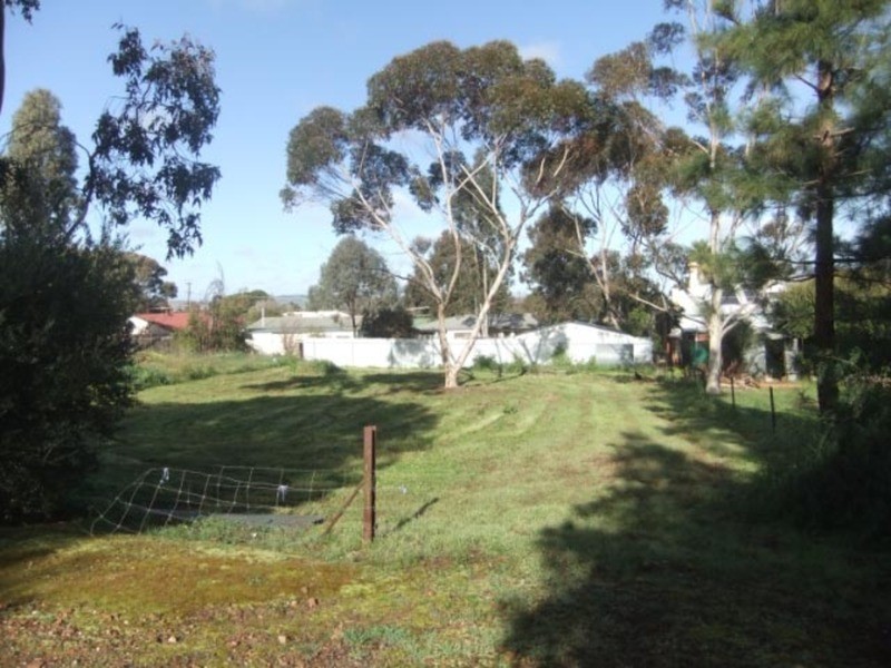 Lot  91 Clifford Street, Kapunda SA 5373