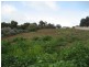 Lot 1 Hannan Street, Eudunda SA 5374