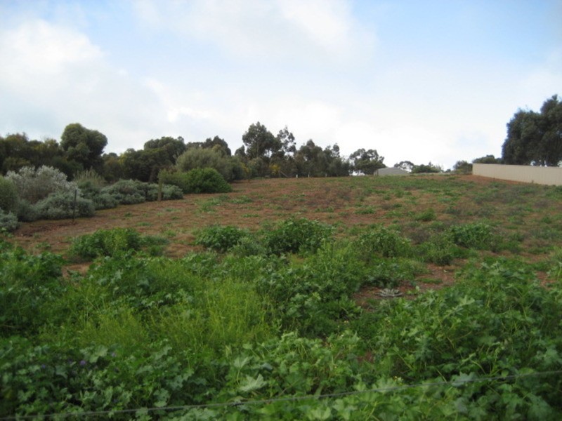 Lot 1 Hannan Street, Eudunda SA 5374