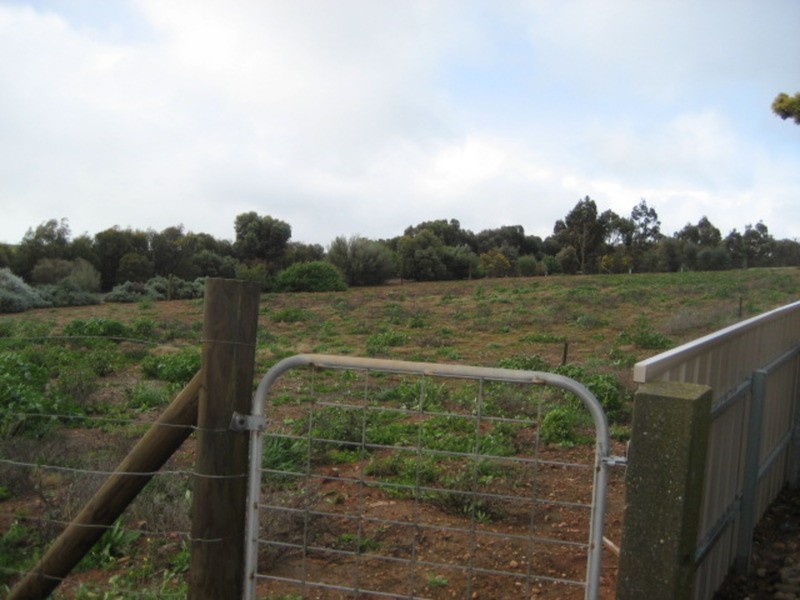 Lot 1 Hannan Street, Eudunda SA 5374