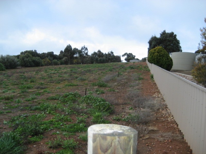 Lot 1 Hannan Street, Eudunda SA 5374