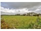 Lot/93 Burra Road, Hamilton SA 5373