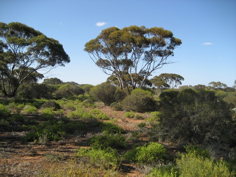 Lot 11 Winter Road, Bower SA 5374