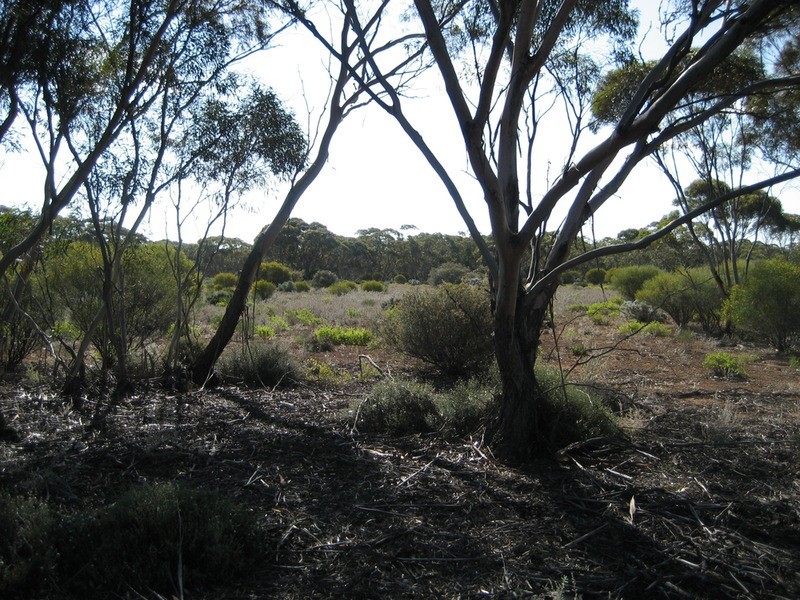 Lot 11 Winter Road, Bower SA 5374