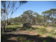 Lot 11 Winter Road, Bower SA 5374