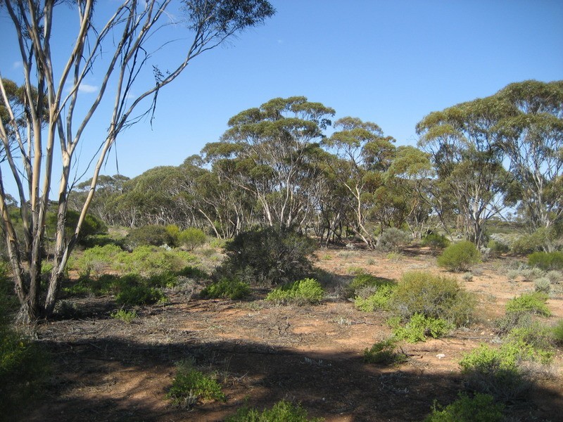 Lot 11 Winter Road, Bower SA 5374