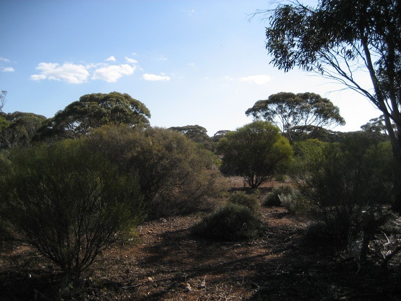 Lot 11 Winter Road, Bower SA 5374
