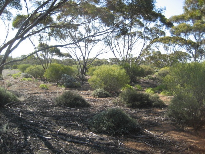 Lot 11 Winter Road, Bower SA 5374