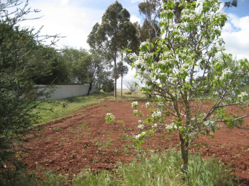 Lot 1 Tilbrook Street, Kapunda SA 5373