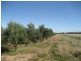 Section 441 Government  Road, Robertstown SA 5381
