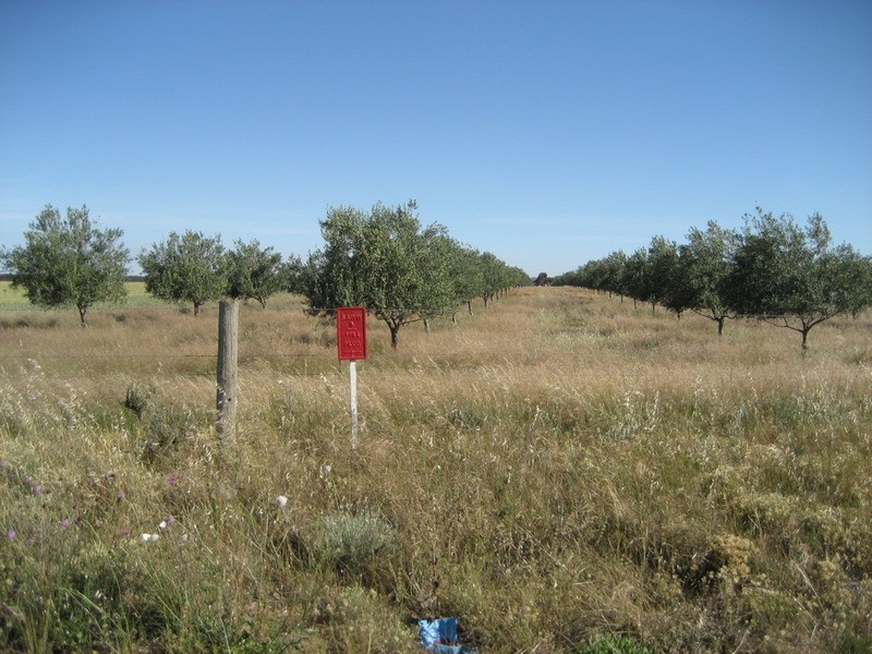 Section 441 Government  Road, Robertstown SA 5381