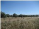 Section 441 Government  Road, Robertstown SA 5381