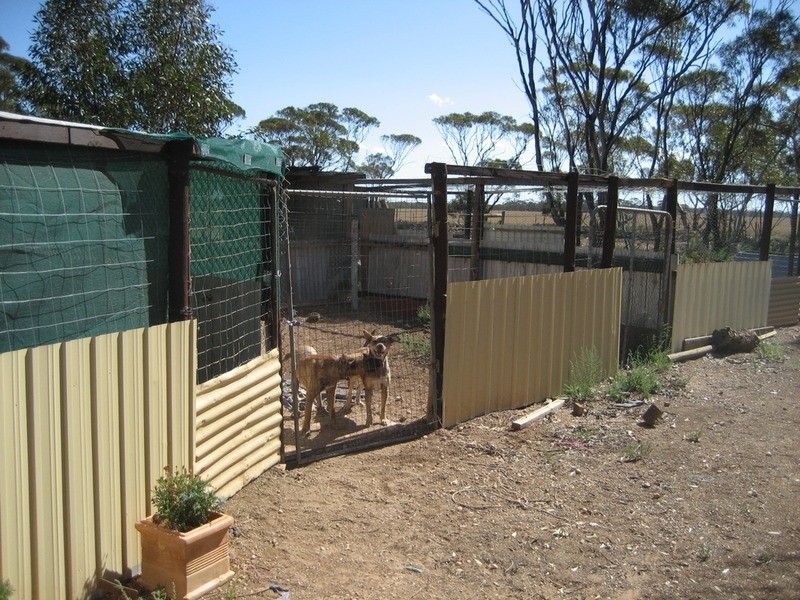 Lot 4 Foote Road, Eudunda SA 5374