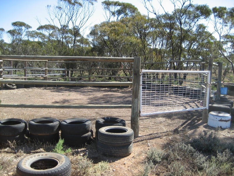 Lot 4 Foote Road, Eudunda SA 5374